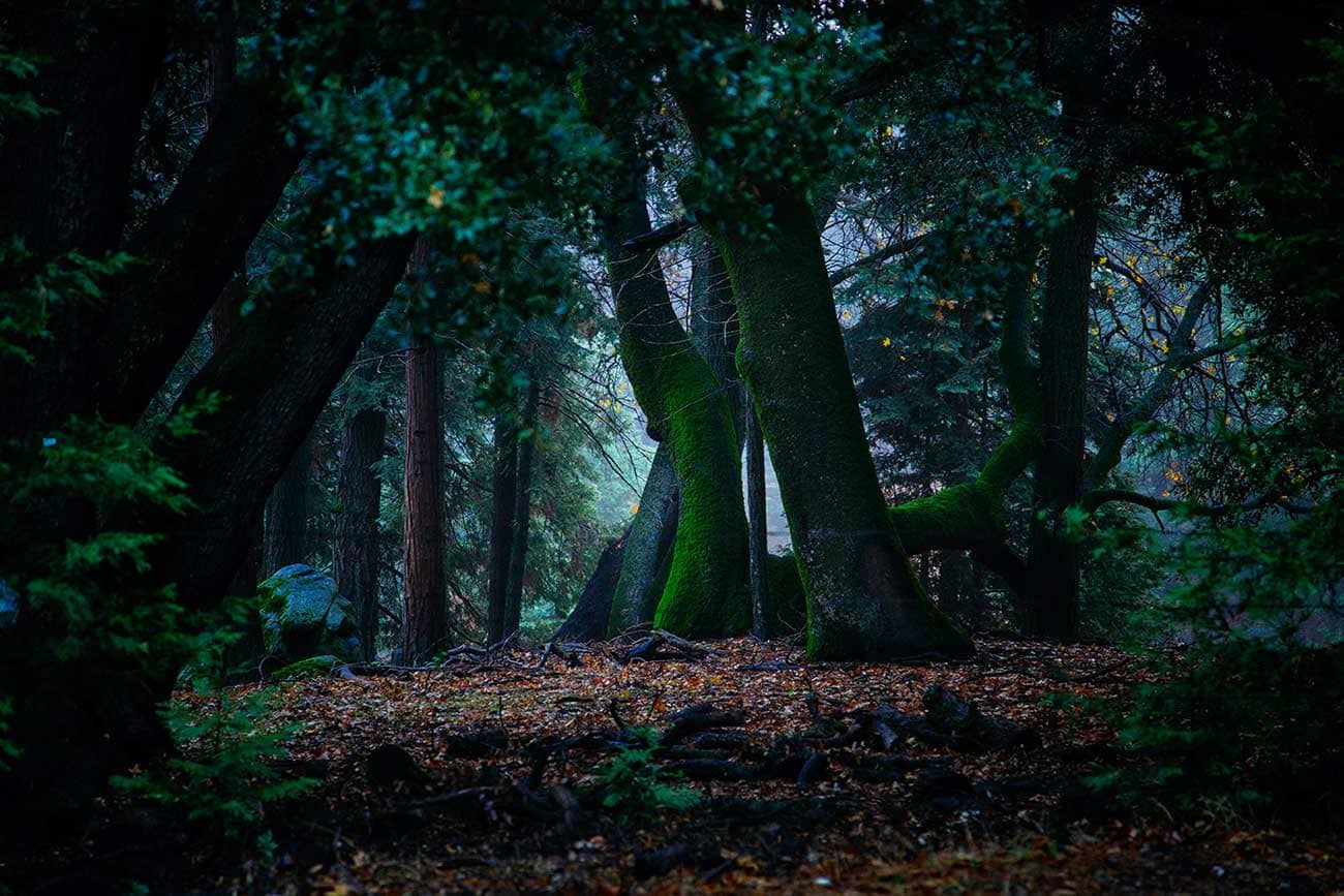 sanctuary