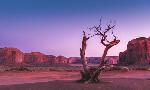 Desert