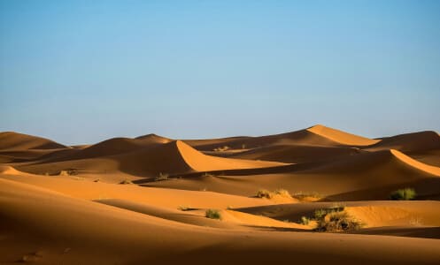 Landscapes